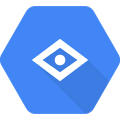 Google Vision